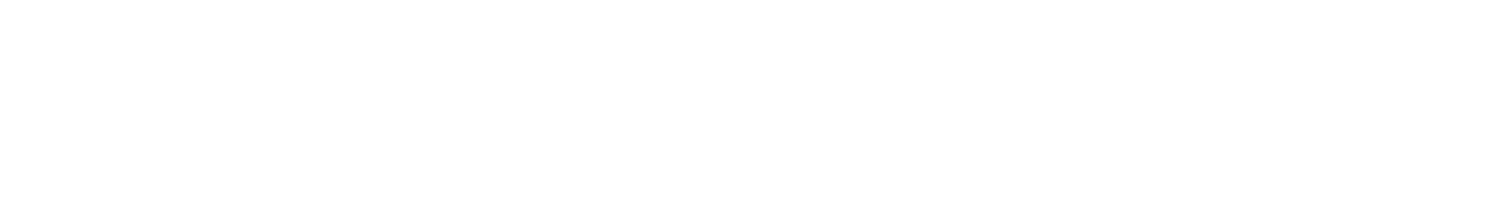 Optic Marketing Group